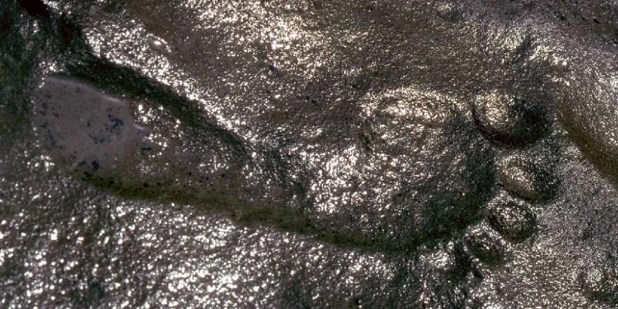 More Evidence That Humans Co-Existed With Dinosaurs: The 290-Million-Year-Old Human Footprint