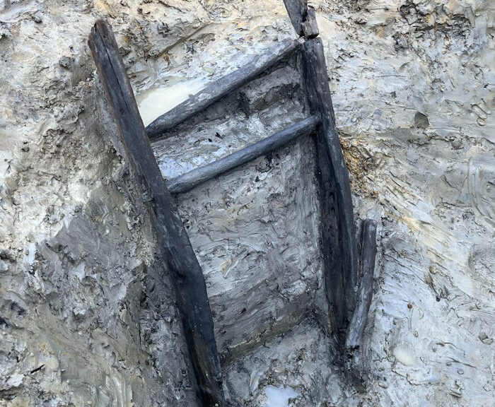 Incredibly Well-Preserved 1,000-Year-Old Wooden Ladder Discovered In The UK