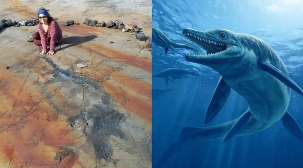Palaeontologists Unearth 139 Million-Year-Old Pregnant Dinosaur Fossil in Chile