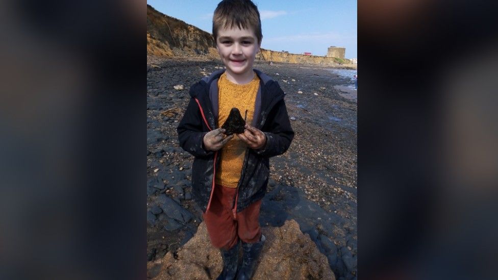 Boy finds 3,000,000-year-old Megalodon shark tooth on a British beach