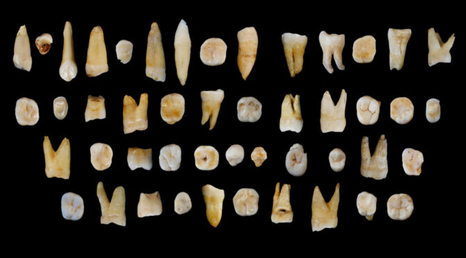 Fossils May Represent China’s Earliest Hominins