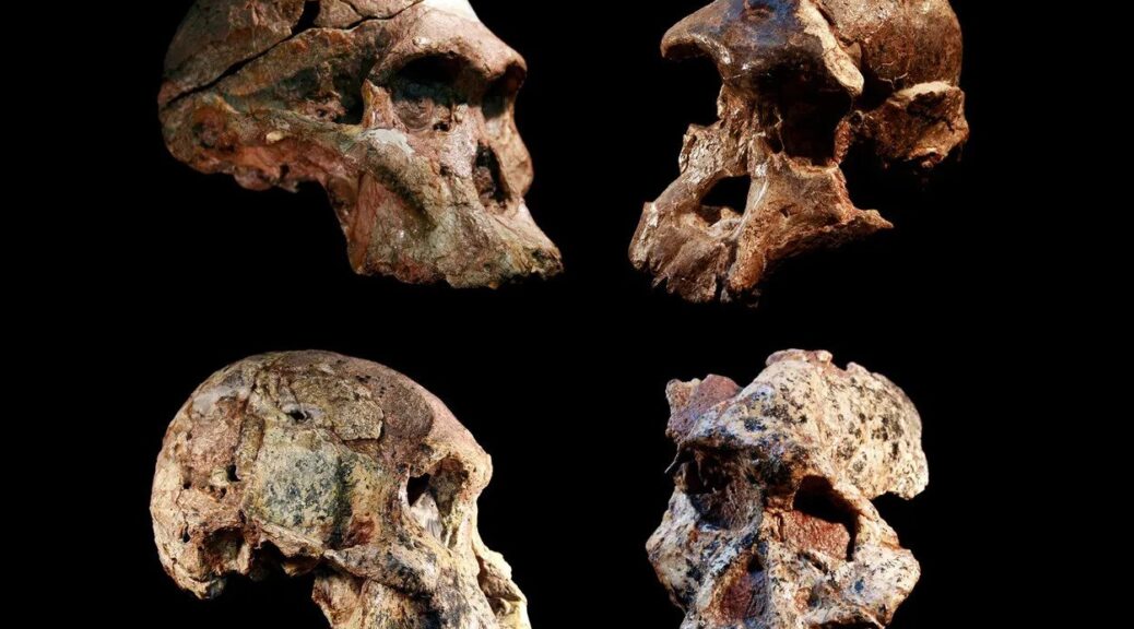 Fossils in the ‘Cradle of Humankind’ may be more than a million years older than previously thought