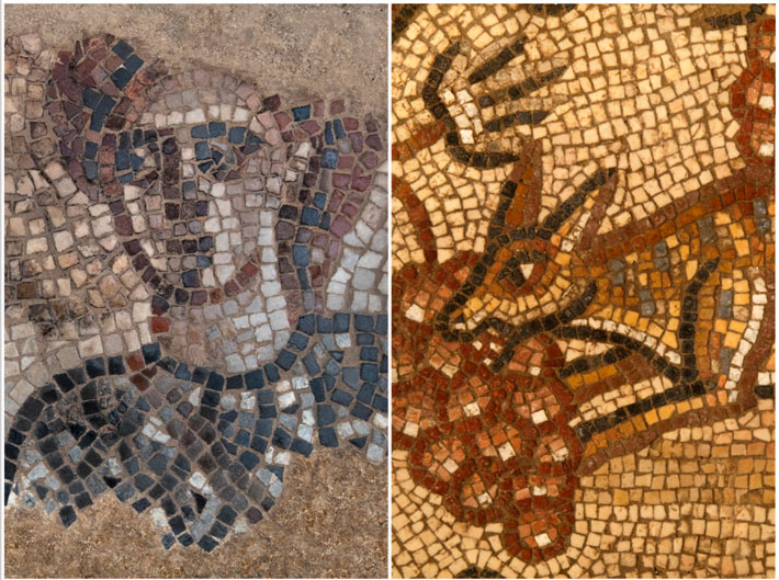 Ancient Mosaic Floors in Israel May Depict Biblical Heroines
