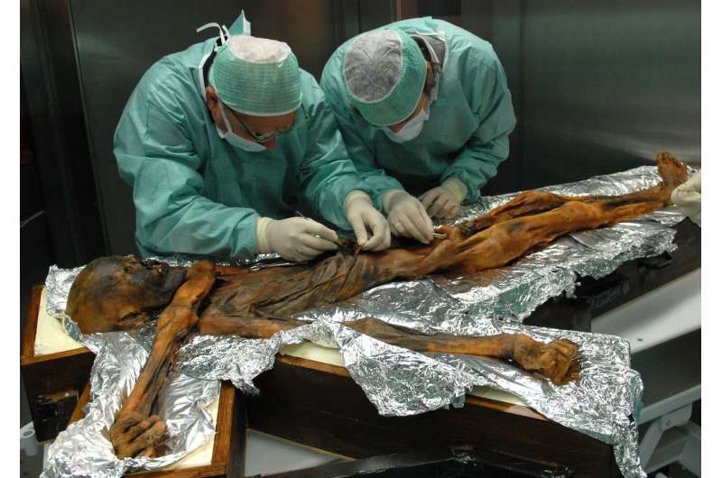 What was Otzi the Iceman's last meal, 5,300 years ago?