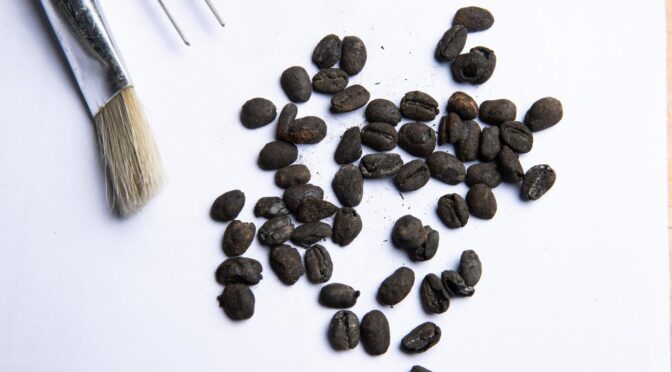 Rare coffee beans dating back 167 years ago were found by archaeologists working on the Metro Tunnel project