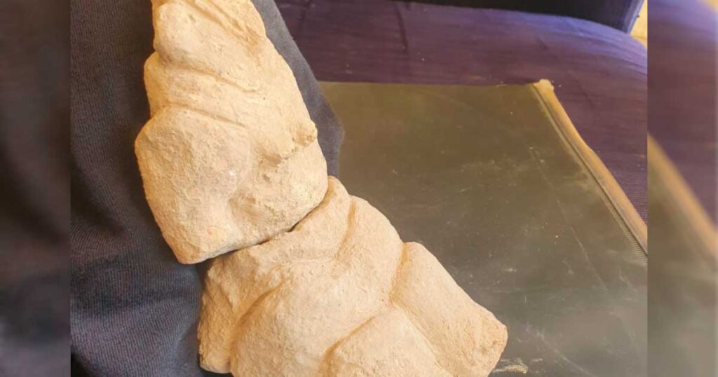 8,000-year-old Yarmukian 'Mother Goddess' figurine uncovered at Sha’ar HaGolan