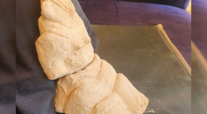 8,000-year-old Yarmukian ‘Mother Goddess’ figurine uncovered at Sha’ar HaGolan