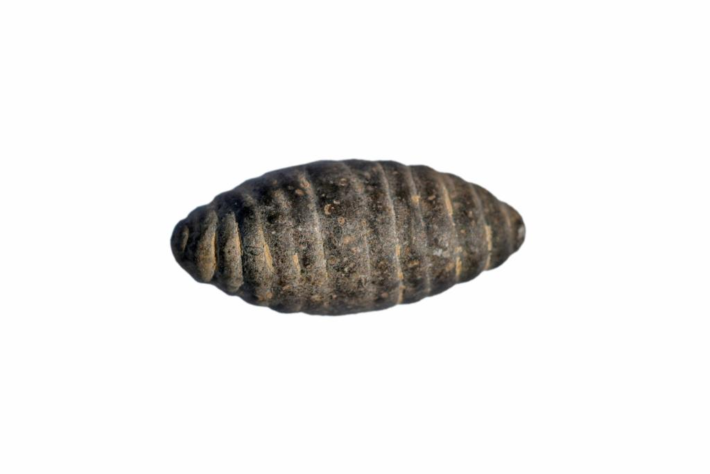 5,200-year-old stone carving chrysalis found in north China