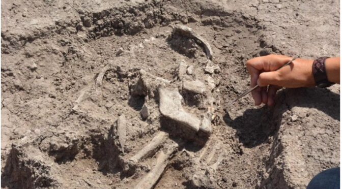 An 8,500-year-old human skeleton and musical instrument were found in the garden of the apartment