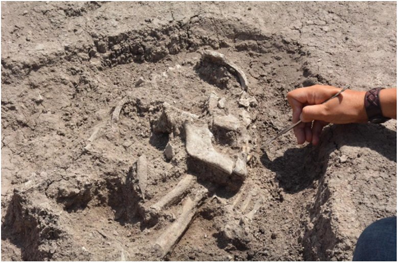 An 8,500-year-old human skeleton and musical instrument were found in the garden of the apartment