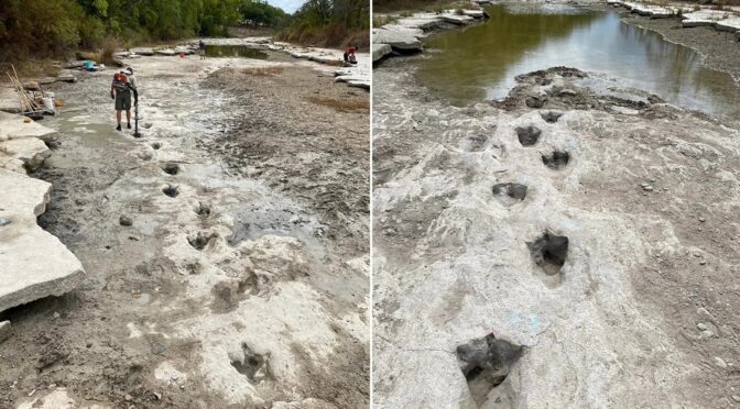 Dinosaur tracks revealed in Texas as severe drought dries up the river