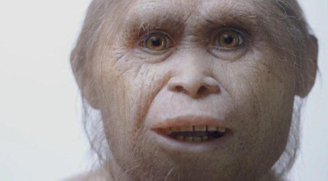 Scientists discover remains of Hobbit humans that stood only 3ft high and lived 700,000 years ago in Indonesia