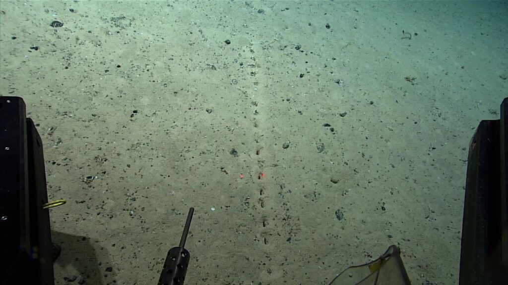 Strange 'alien' holes were discovered on the ocean floor