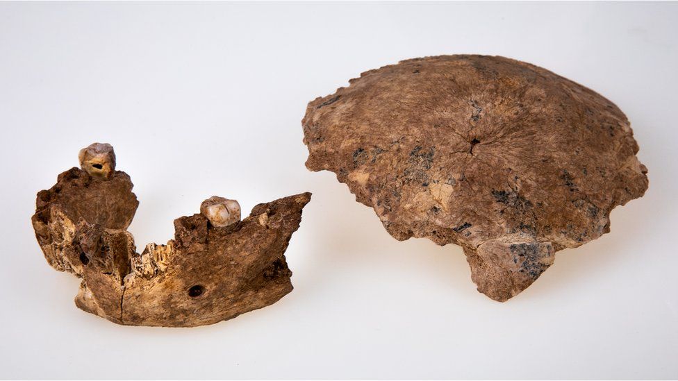 Archaeologists Discover Missing Link in Human Evolution, in Israel