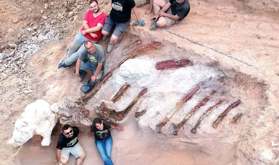 Huge dinosaur skeleton unearthed in Portuguese garden
