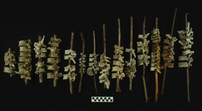 Human spines on sticks found in 500-year-old graves in Peru
