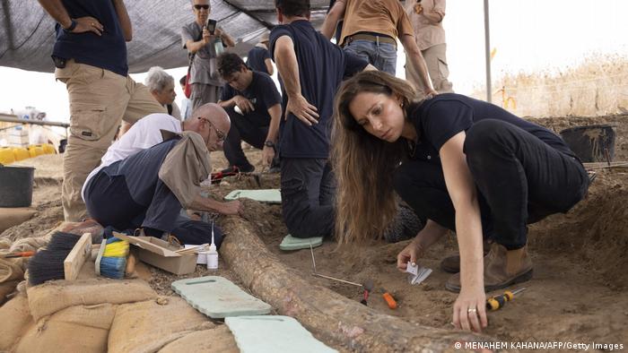 Israeli archaeologists dig up the large tusk of an ancient elephant