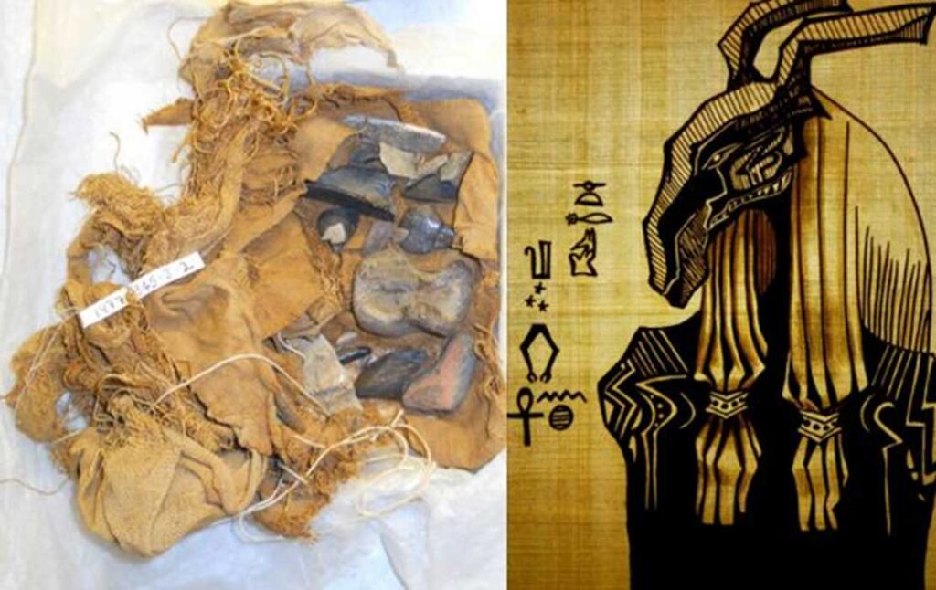 3,300 Years Ago Ancient Egyptians Collected and Revered Ancient Fossils Now Known as the ‘Black Bones of Set’
