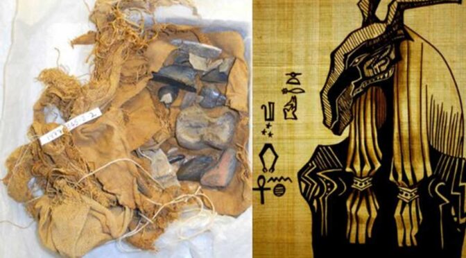 3,300 Years Ago Ancient Egyptians Collected and Revered Ancient Fossils Now Known as the ‘Black Bones of Set’