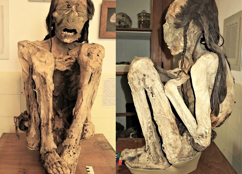 South American Mummies Were Brutally Murdered, CT Scans Reveal
