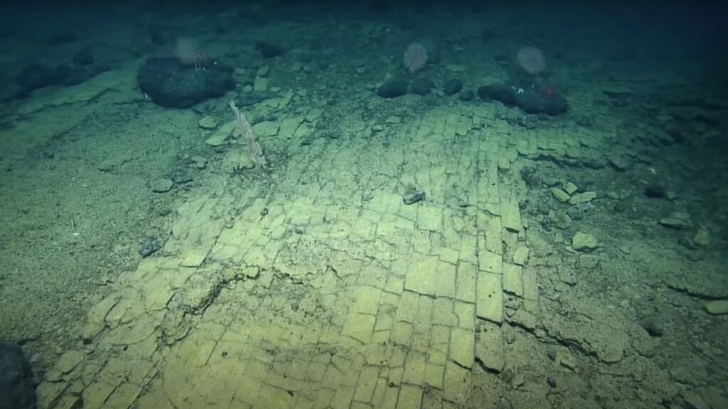Жуткая «дорога из желтого кирпича» в Атлантиду была обнаружена на вершине древней подводной горы
