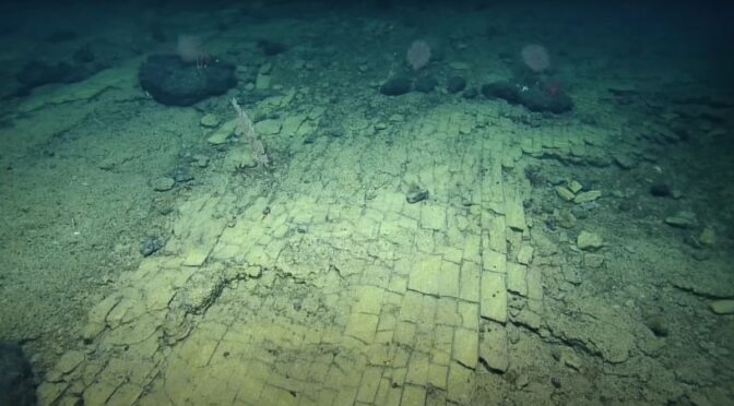 Eerie ‘yellow brick road’ to Atlantis was discovered atop an ancient undersea mountain