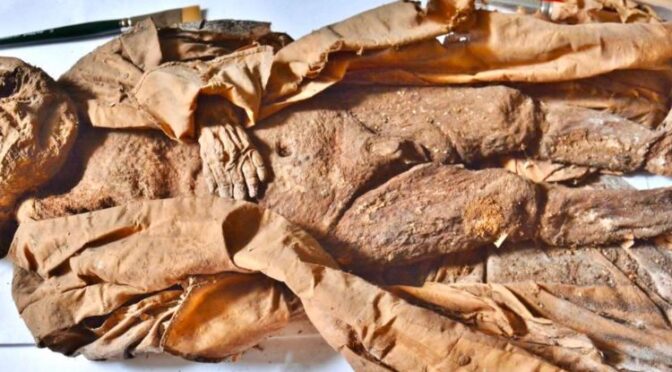 Mummified Baby From Centuries Ago May Have Died From Lack of Sunlight