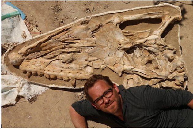 Giant 66-Million-Year-Old Marine Reptile Found in Morocco