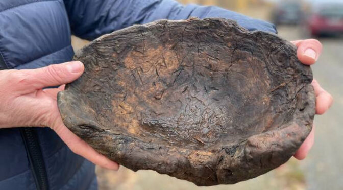 Rare 1,000-Year-Old Viking Wooden Bowl Found By Young Boy