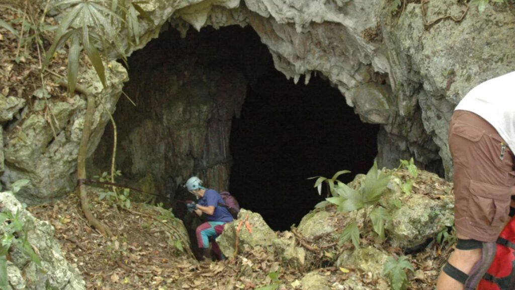 Синие волокна обнаружены в зубном камне жертв майя