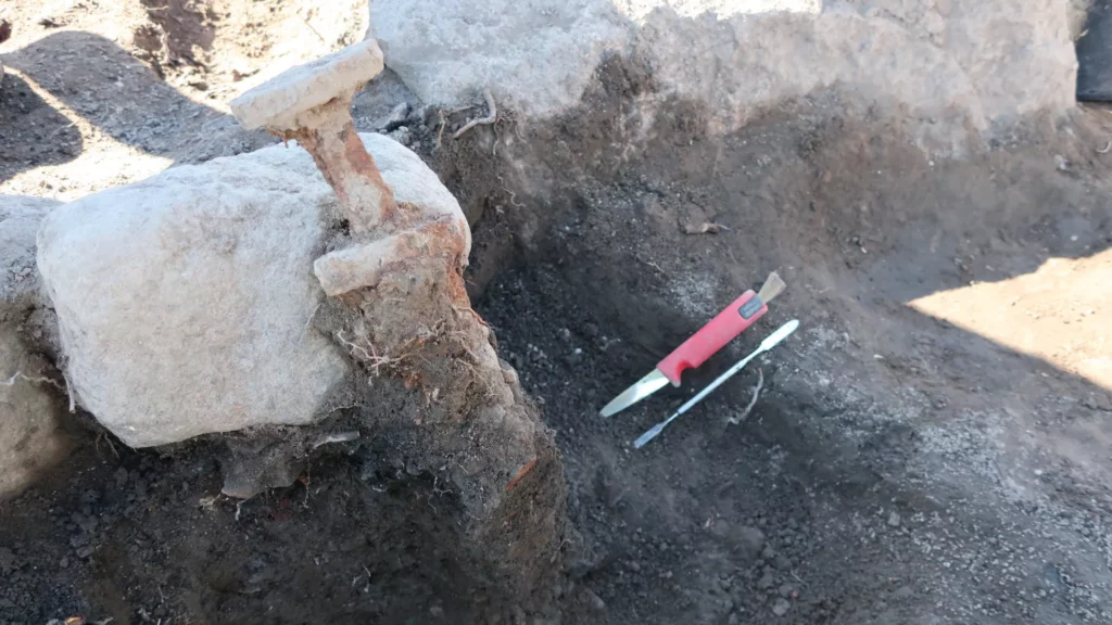 2 Viking swords buried upright might have connected the dead to Odin and Valhalla