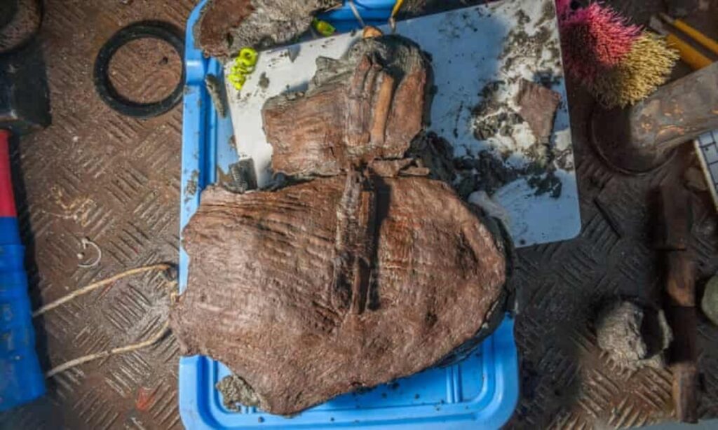 2200-летние корзины с фруктами, найденные в подводном городе Гераклион
