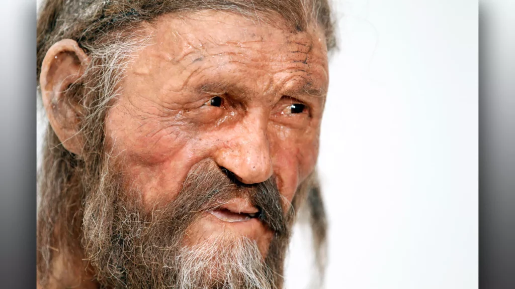 Researchers Revisit Circumstances of Ötzi the Iceman's Death