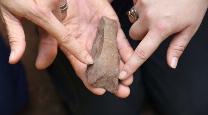 Priceless archaeological artefacts found in Norfolk Island National Park by local citizen scientist