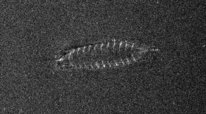 Possible Medieval Shipwreck Spotted in Norway Lake