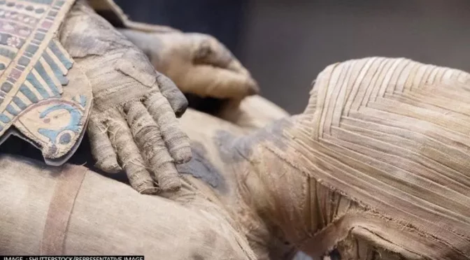 Archaeologists In Peru Unearth 800-year-old Mummy Buried In Underground Tomb In Lima