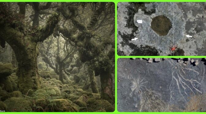 Discovered the Oldest Forest in the World, dating back 386 million years