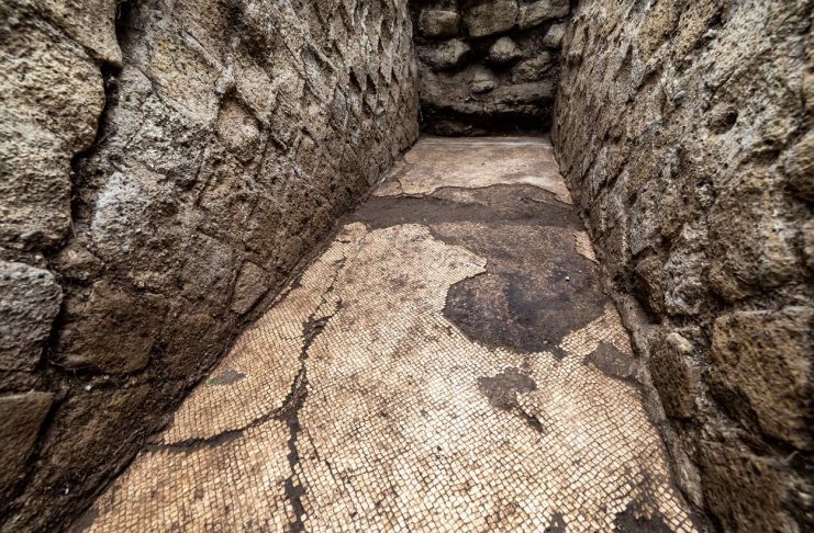 Archaeologists uncover an ancient mosaic of the living room of brutal Publius Vedius Pollio