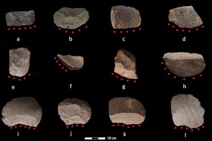 Stone Tools Offer Clues to Rice Domestication in China