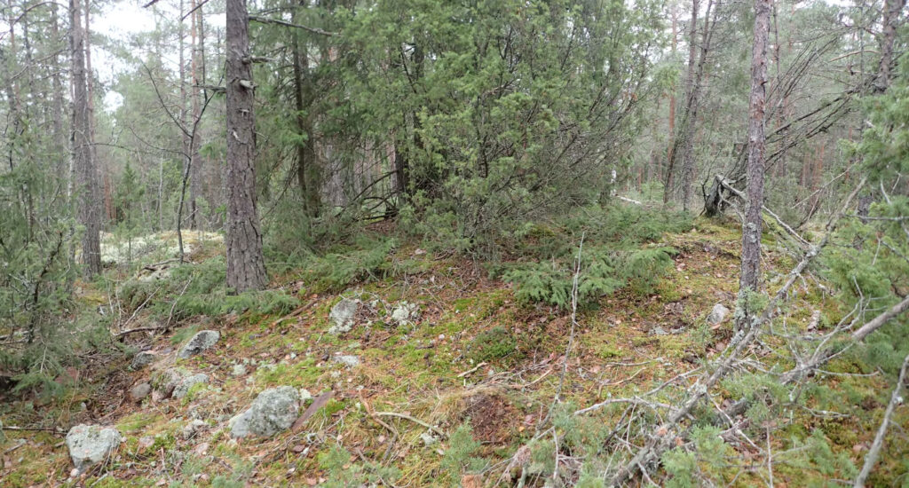 3,500-Year-Old Cairn Discovered in Finland