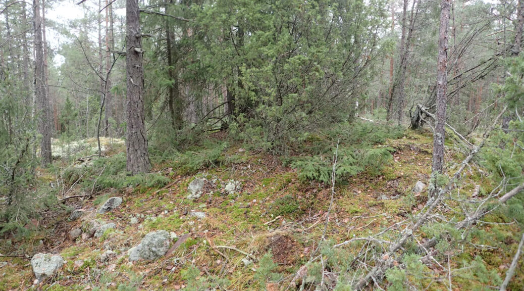 3,500-Year-Old Cairn Discovered in Finland