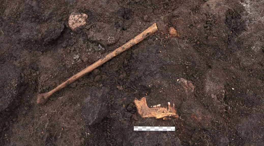 5,000-year-old 'bog body' found in Denmark may be a human sacrifice victim