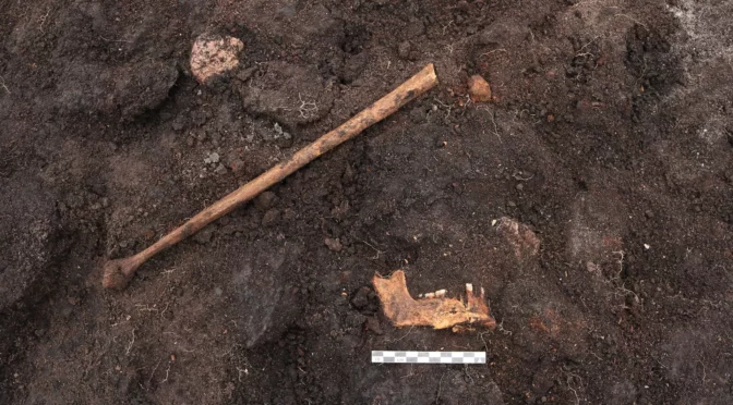 5,000-year-old ‘bog body’ found in Denmark may be a human sacrifice victim
