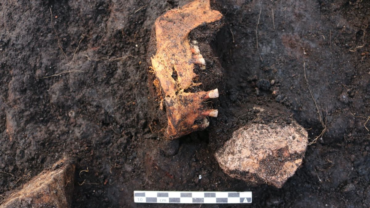 sacrifice victim 2 | ARCHAEOLOGY WORLD