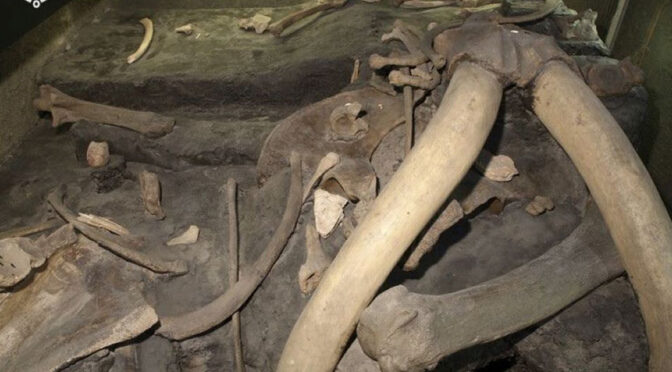 Ice Age Hunting Camp Identified in Mexico
