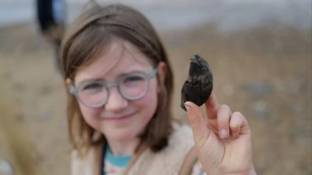 A Little Girl From London Finds a 700,000-Year-old Ancient Bear Tooth