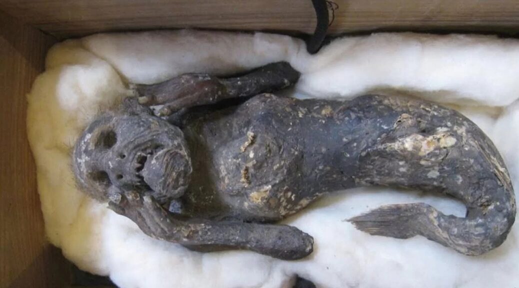 300-Year-Old Mummified Mermaid From Japan Mystery Solved; Creature Is Artificial