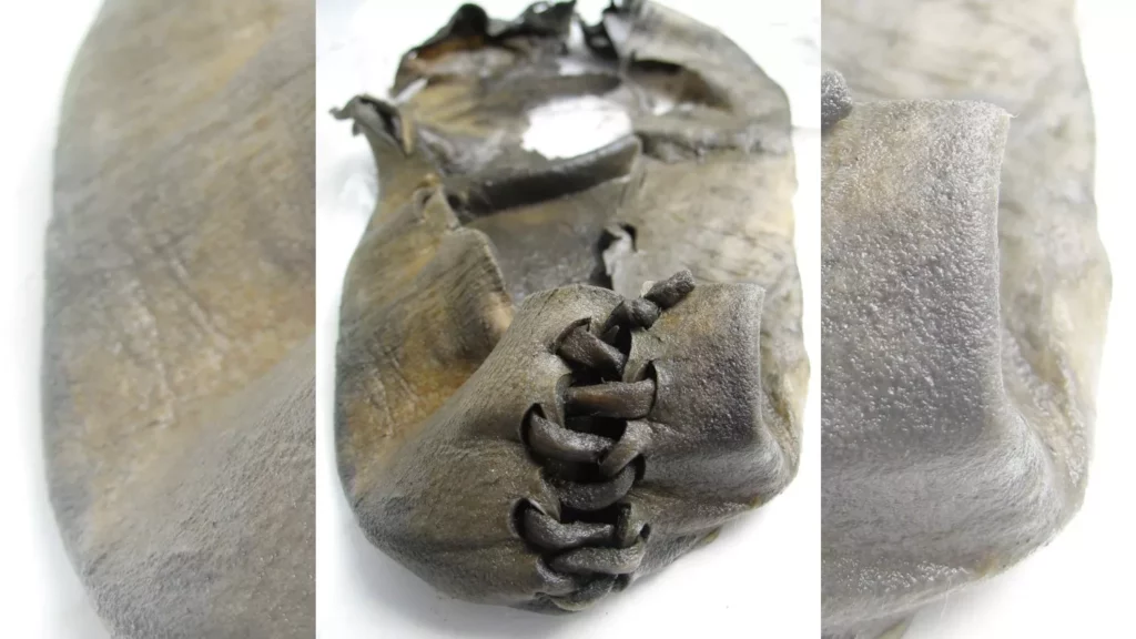 Самая старая обувь в Норвегии, возраст которой 3000 лет, извлечена из тающего ледяного пятна.