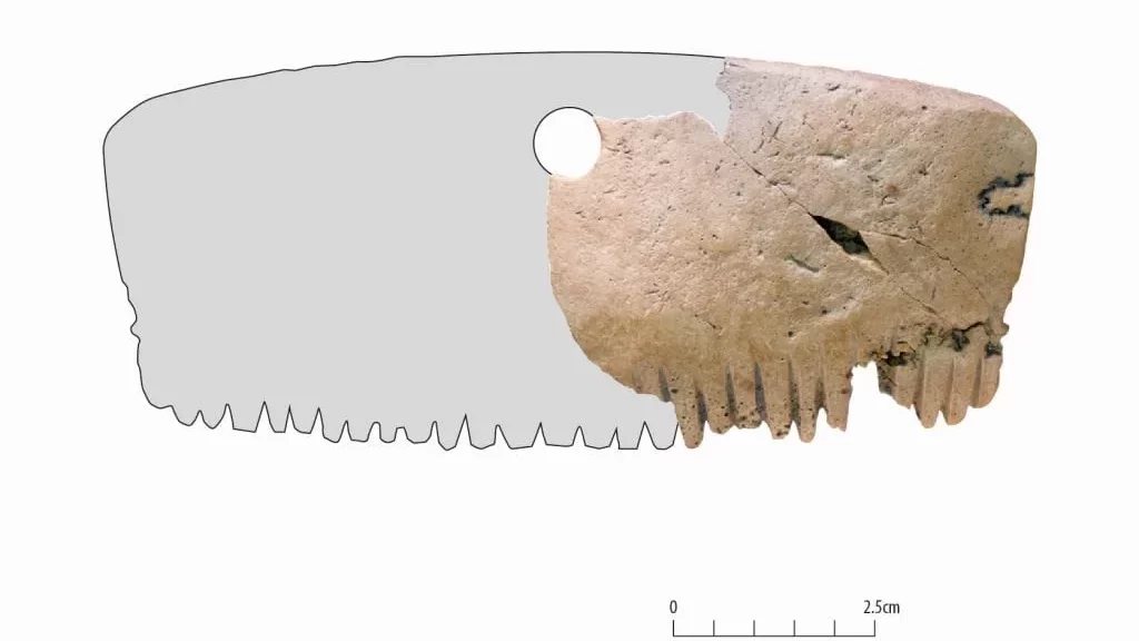 В Великобритании найден гребень железного века, сделанный из человеческого черепа