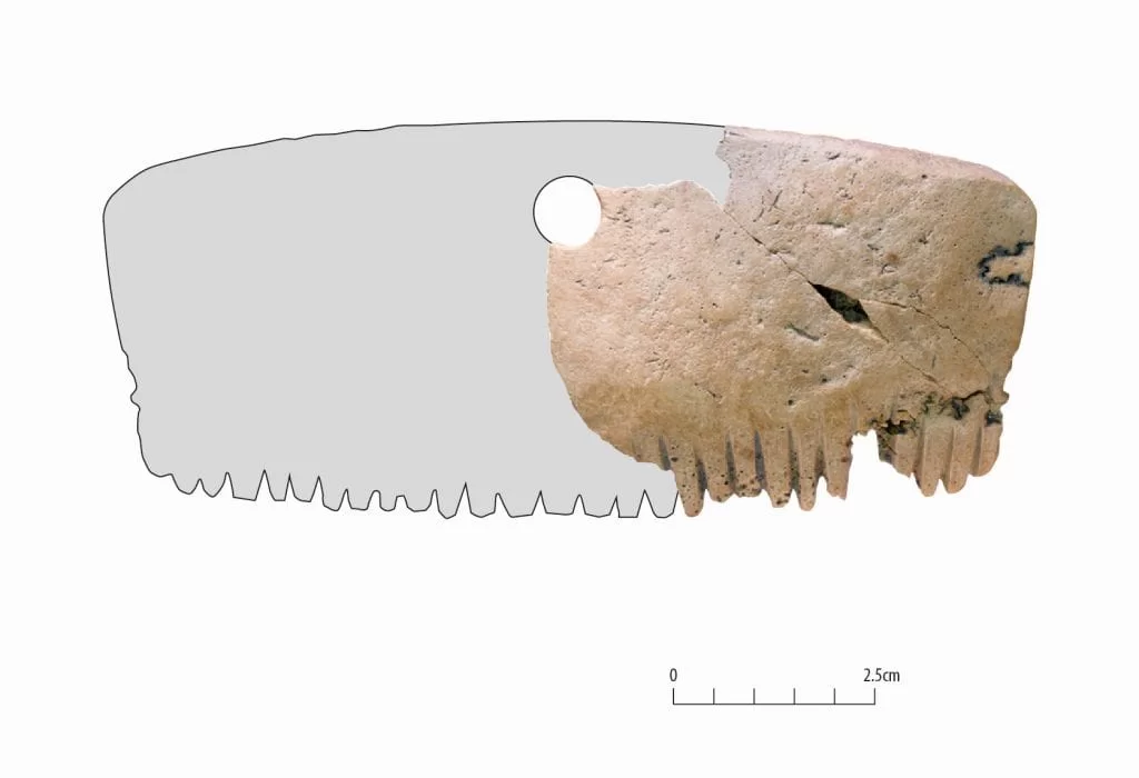 В Великобритании найден гребень железного века, сделанный из человеческого черепа